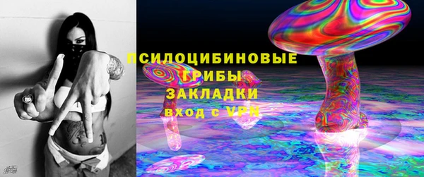 PSILOCYBIN Беломорск