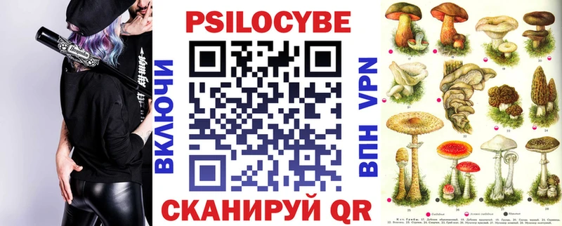 Галлюциногенные грибы Cubensis  цена наркотик  мега вход  Курчалой 